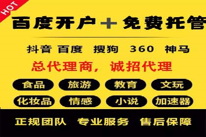 SEM主管实战：数据分析与策略调整